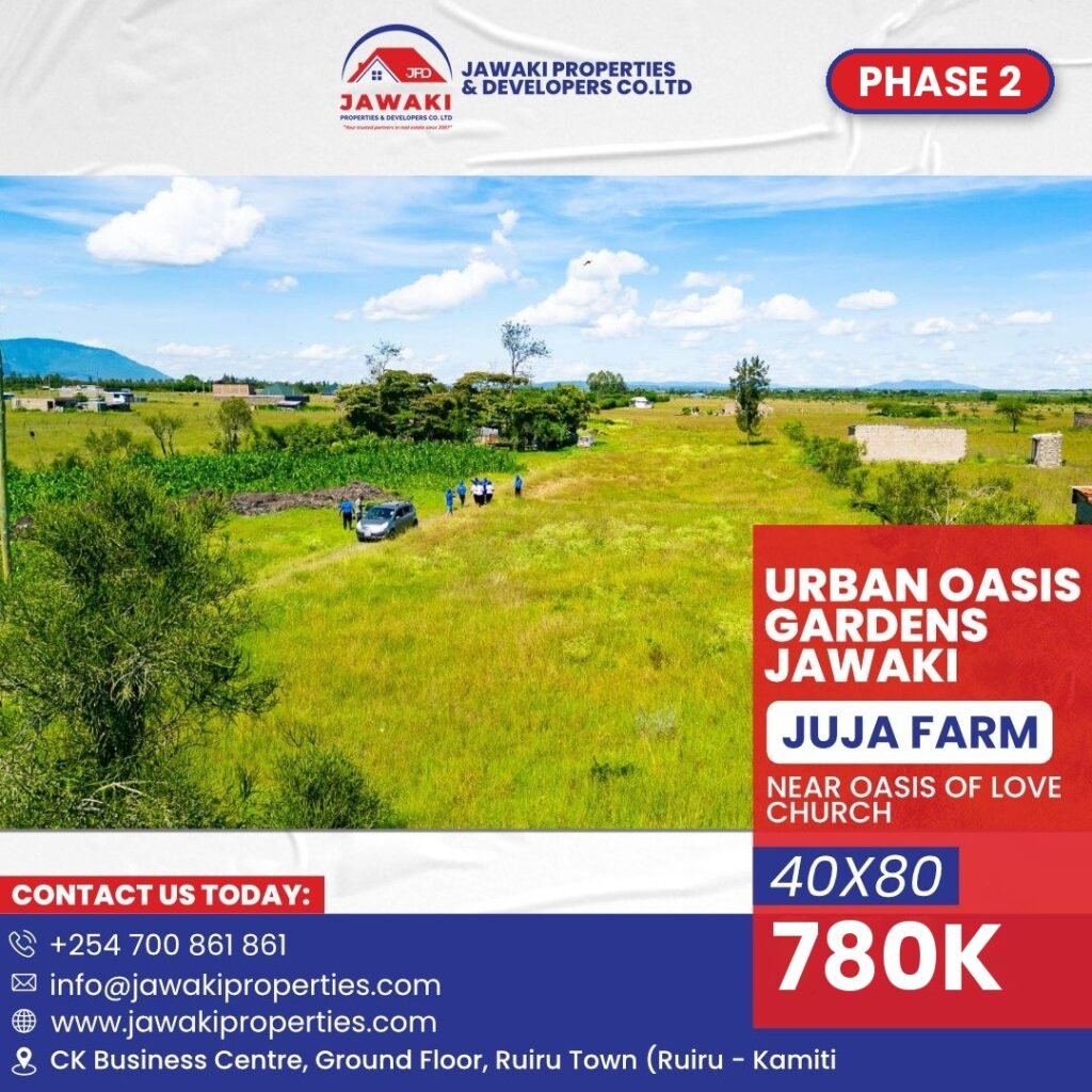 The Urban Oasis Garden – Near Oasis of Love Church – Phase 2